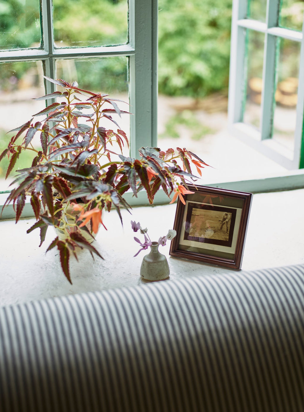 Emery Oak Picture Frame, Square