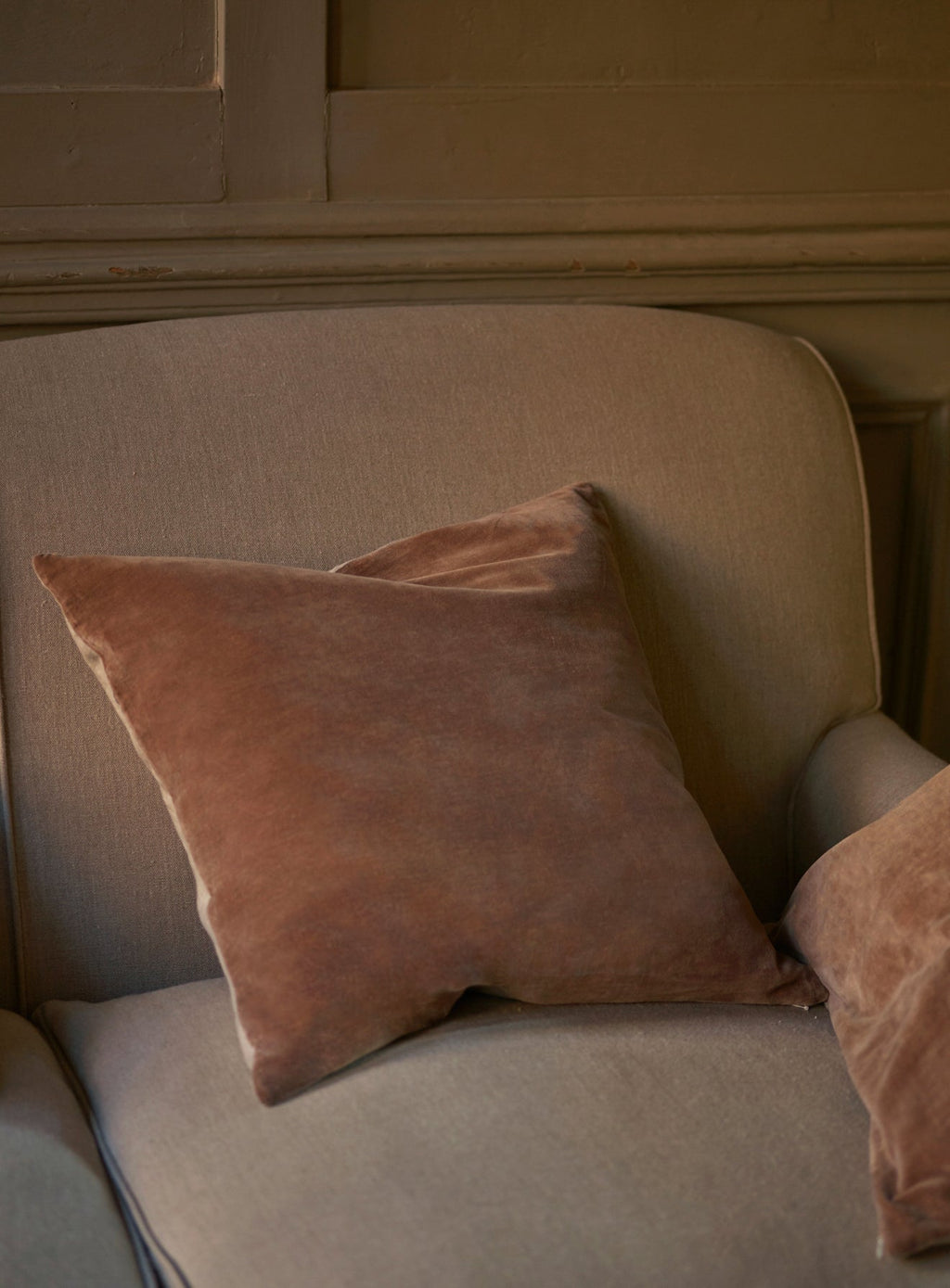 Velvet Cushion, Mole