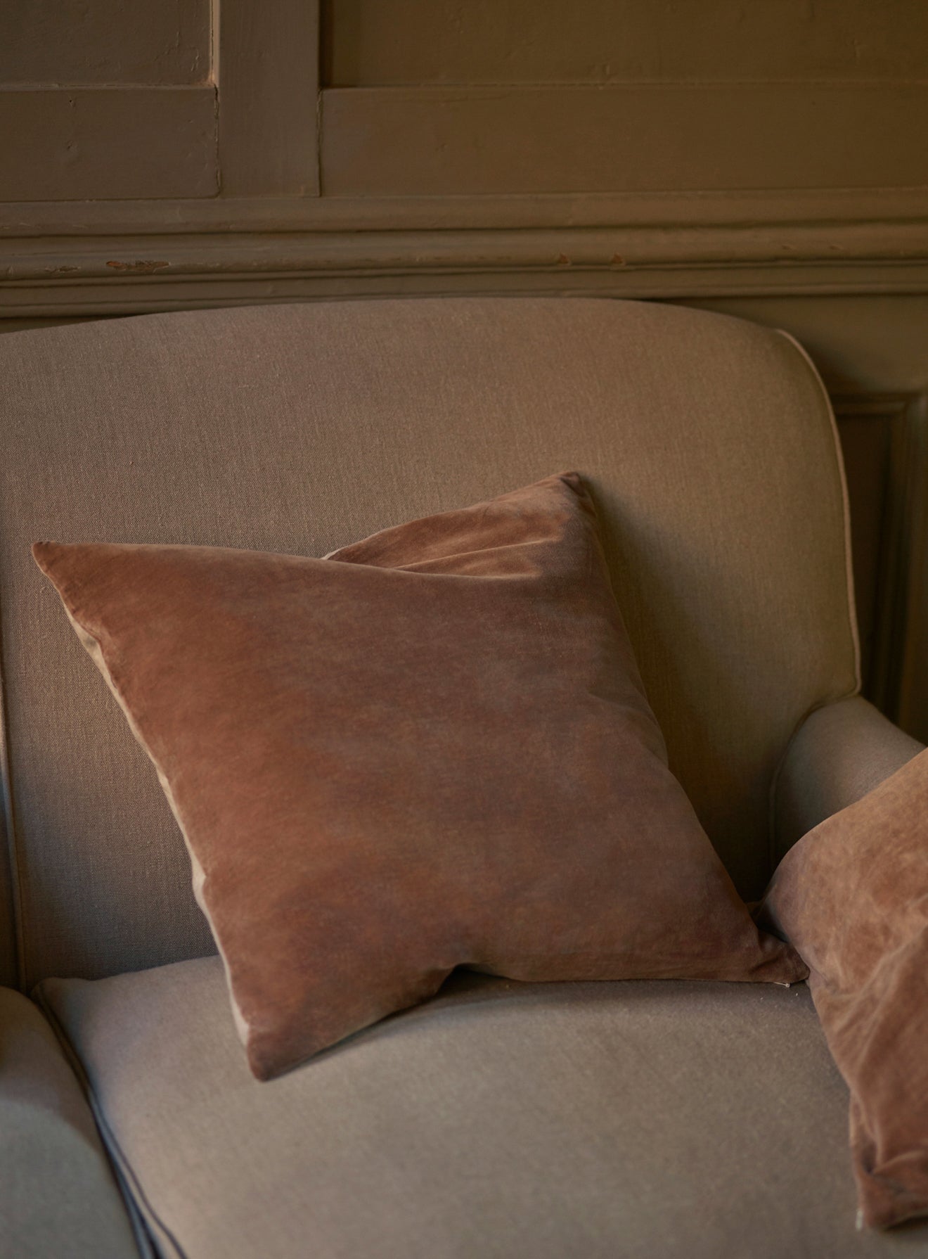 Velvet Cushion, Mole