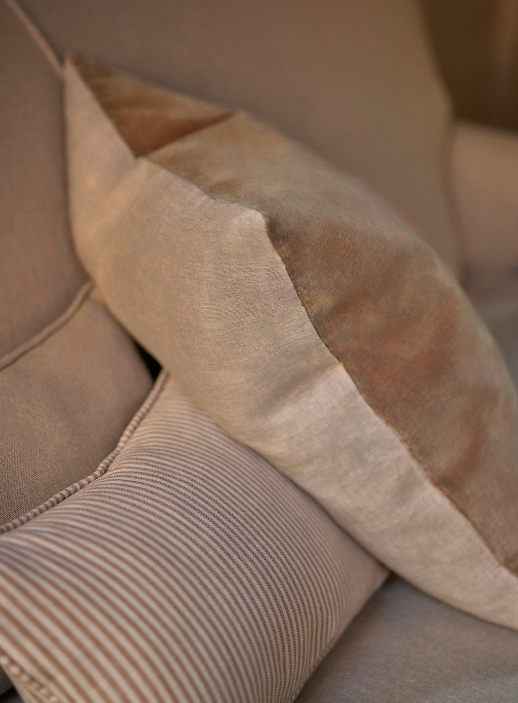 Velvet Cushion, Mole