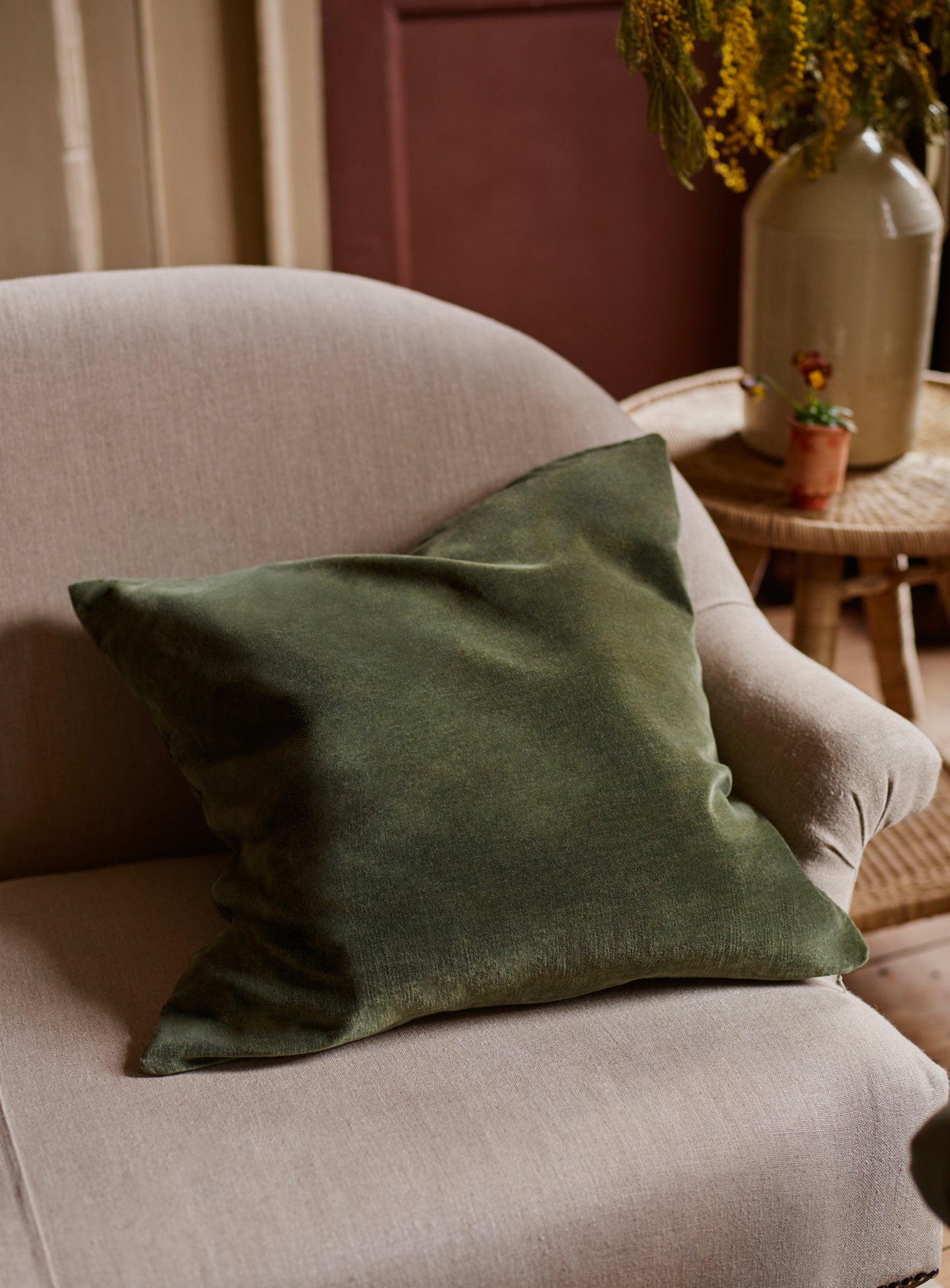 Velvet Cushion, Fern