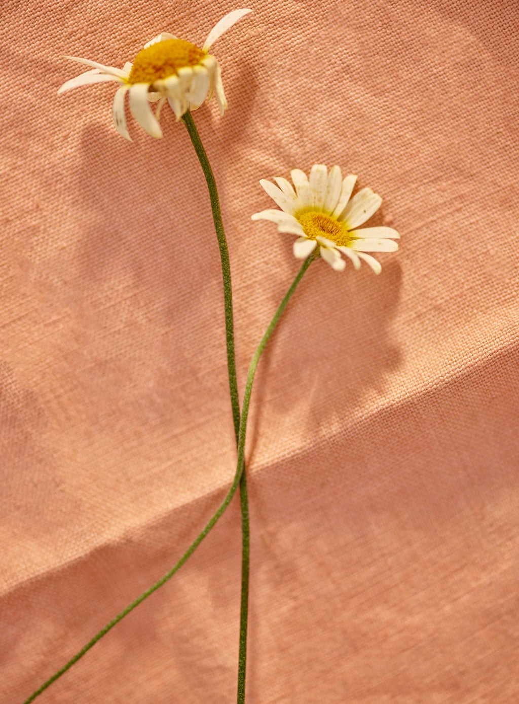 Embroidered Linen Napkin, Soft Peach, Set of Two