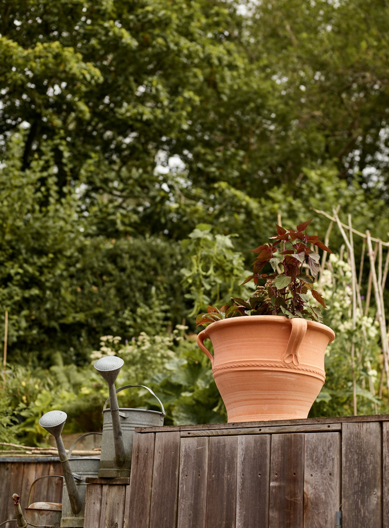 Athena Terracotta Pot