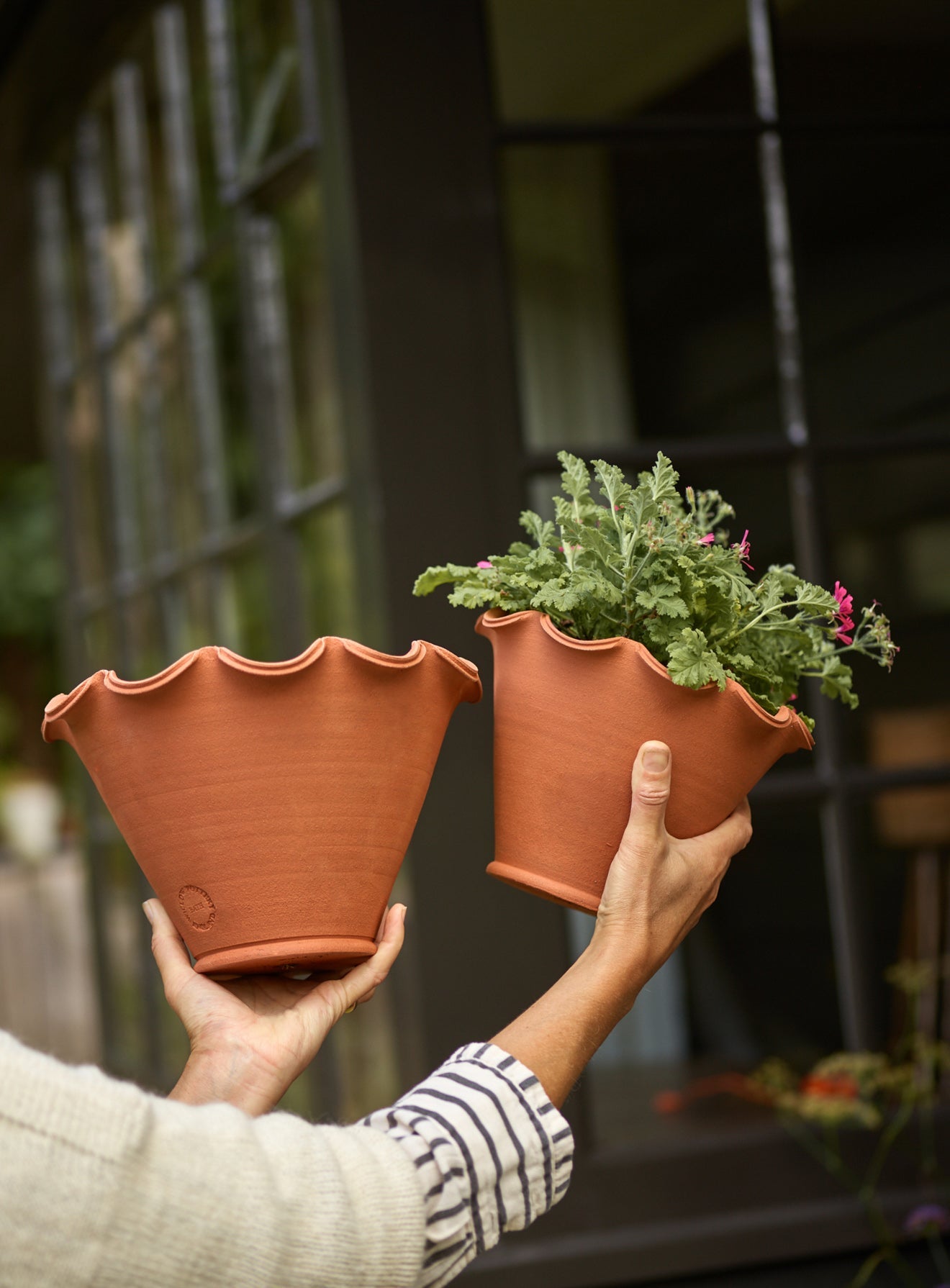 Eden Terracotta Pot