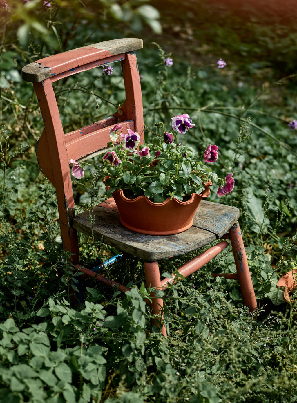 Eden Terracotta Pot, Low