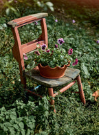 Eden Terracotta Pot, Low