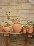 Etta Terracotta Pot, Large