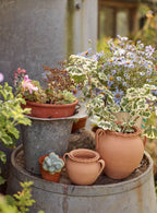 Etta Terracotta Pot, Small
