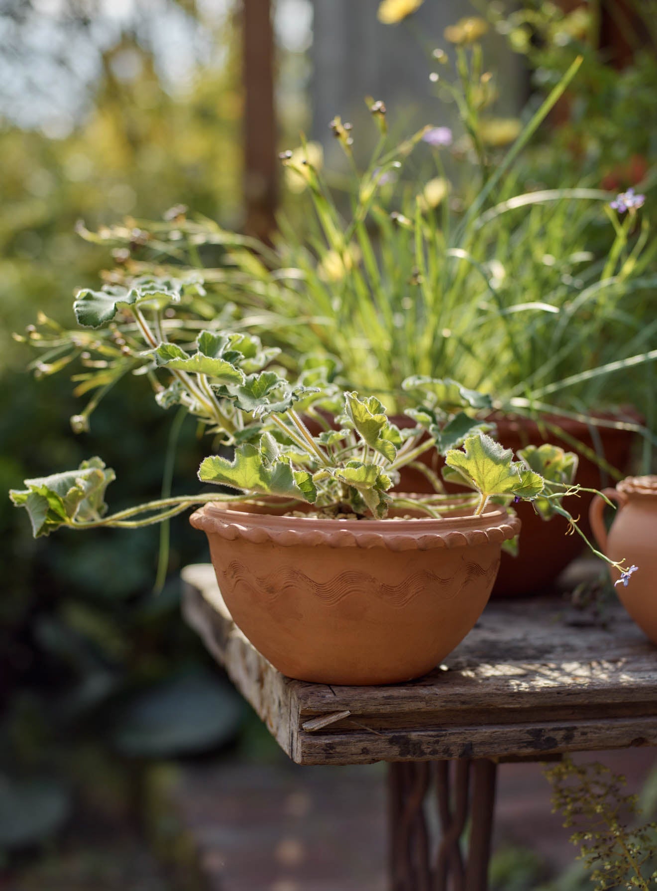 Agni Terracotta Bowl, Small