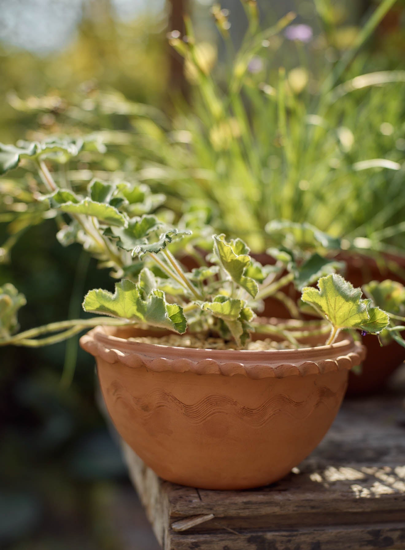 Agni Terracotta Bowl, Small