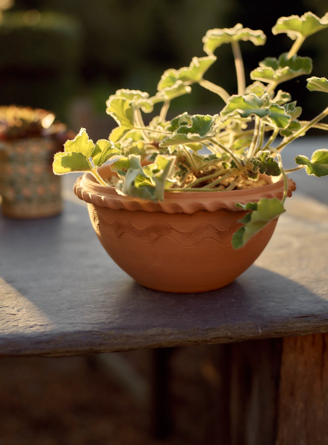 Agni Terracotta Bowl, Small
