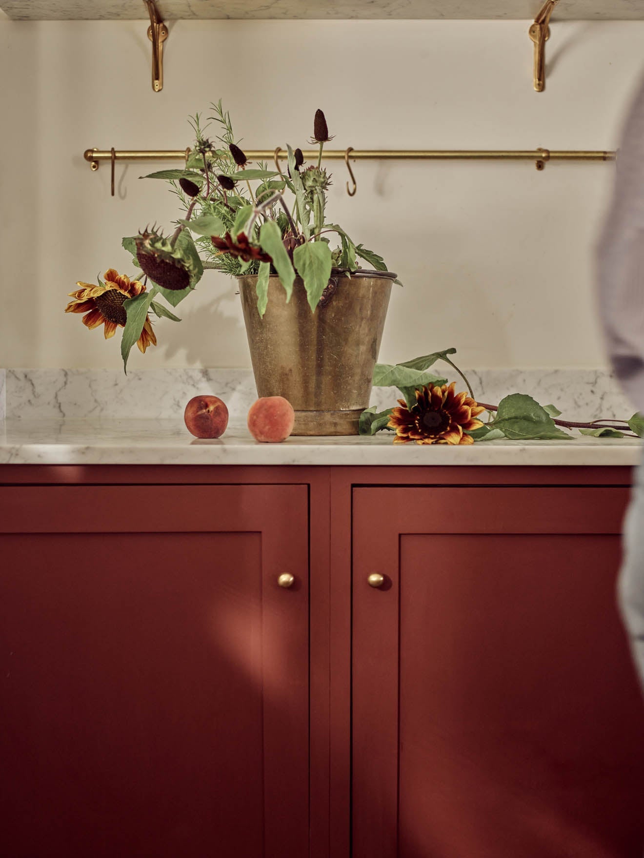 Grove Smooth Rounded Knob, Matt Brass