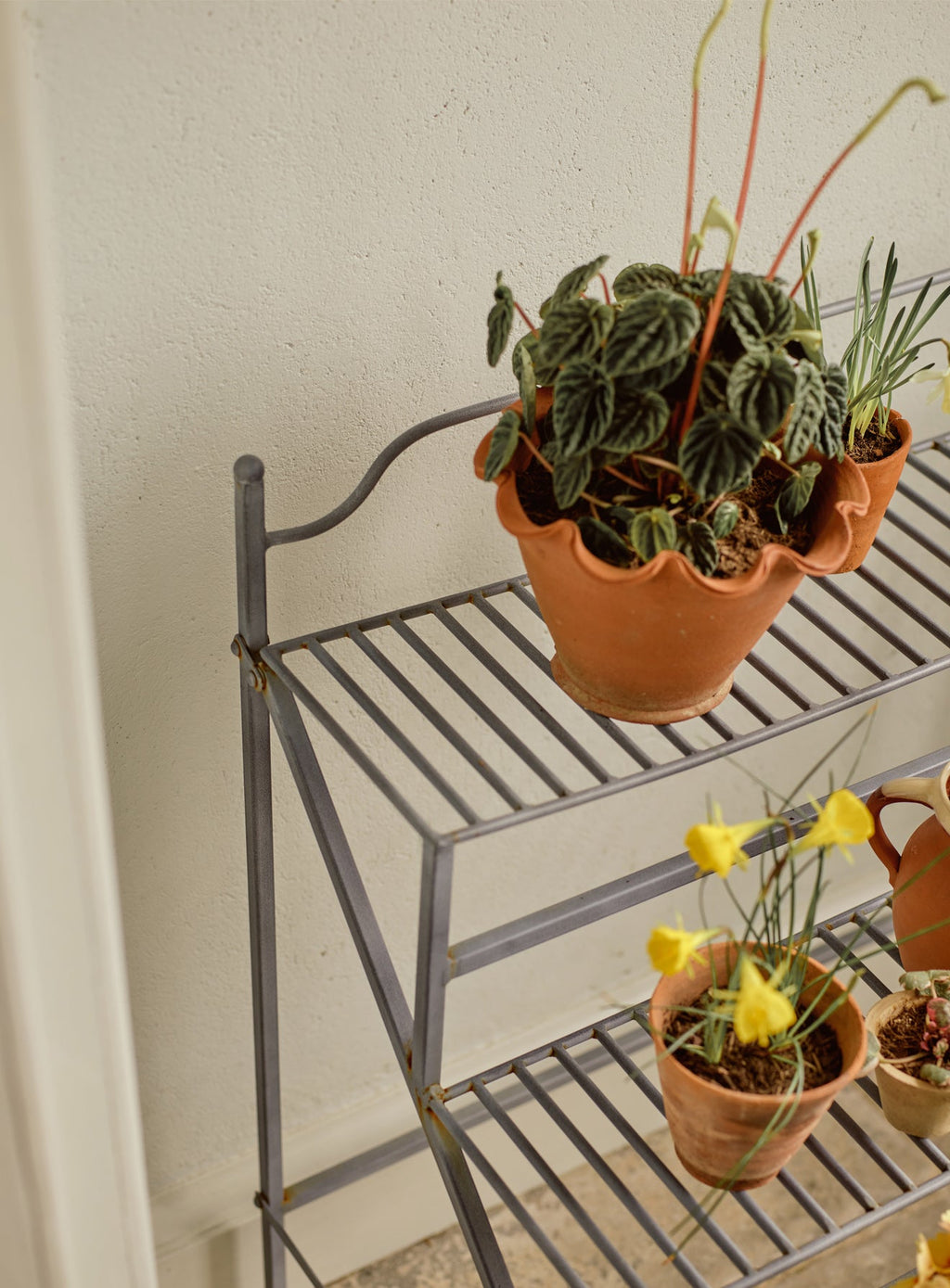 Burnell Tiered Plant Stand