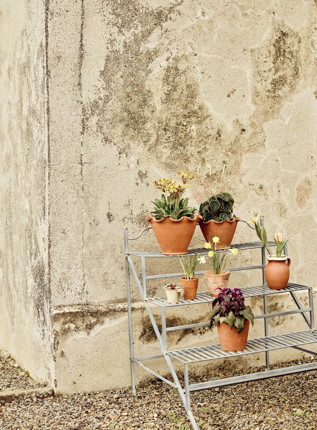 Burnell Tiered Plant Stand