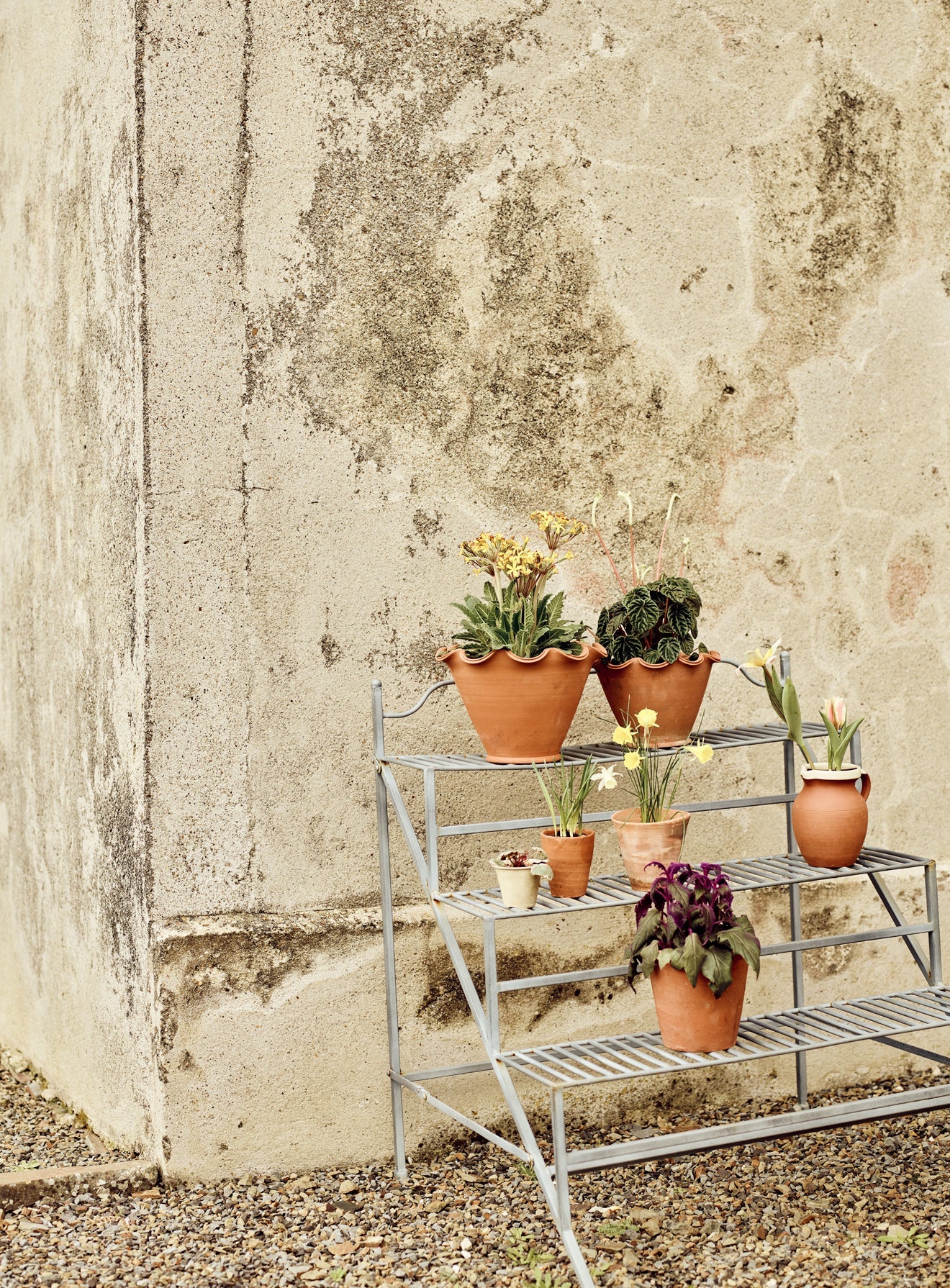 Burnell Tiered Plant Stand