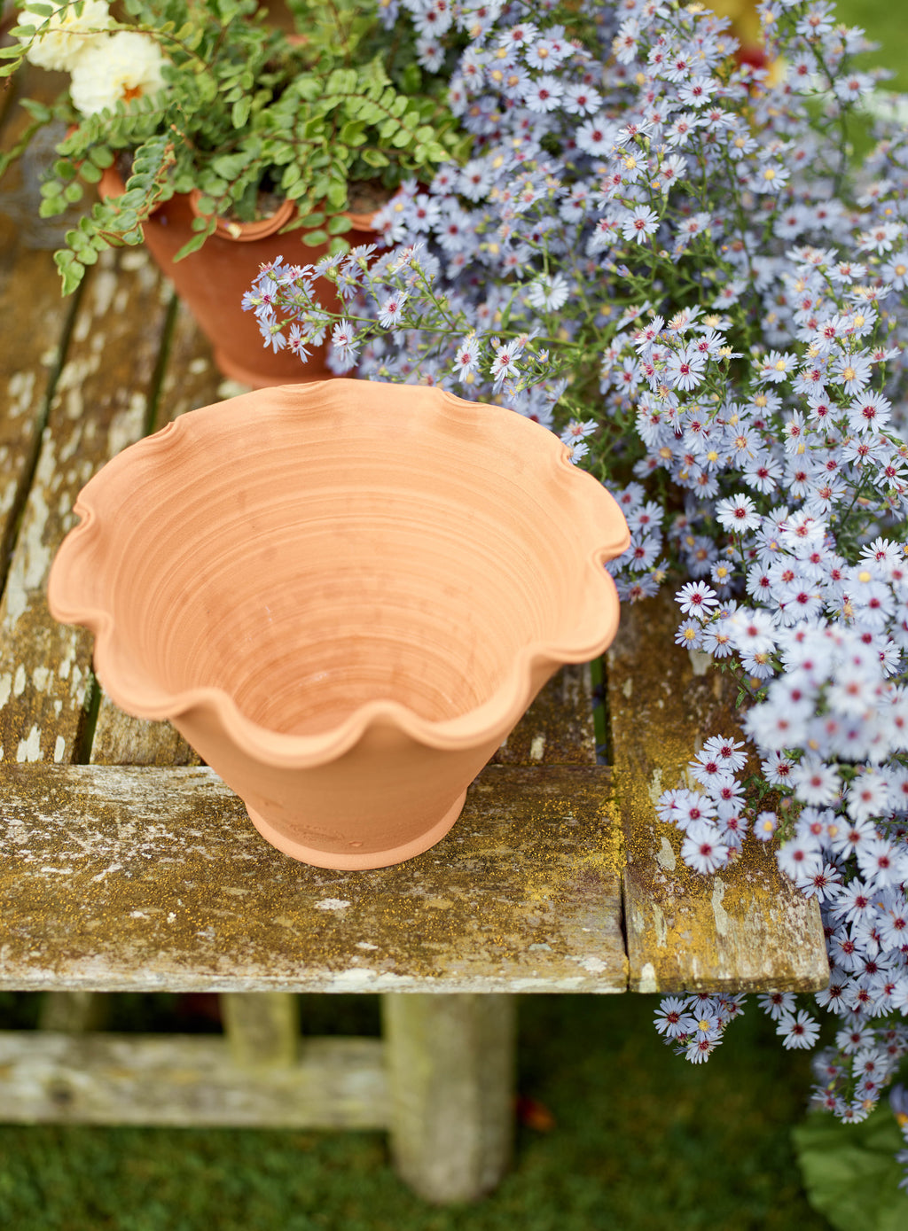 Eden Terracotta Pot