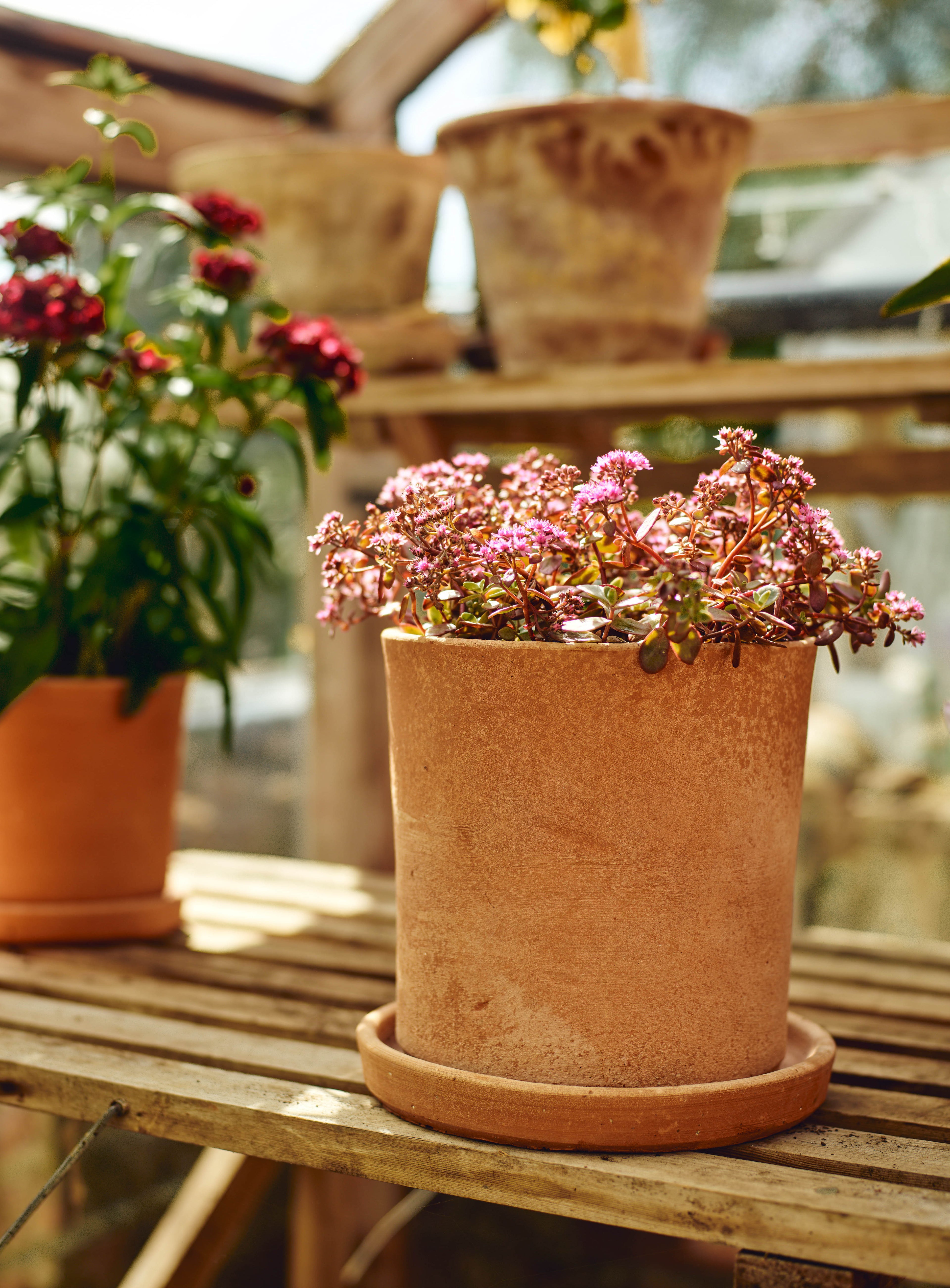 Minos Terracotta Pots, Set of Three