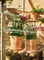 Minos Terracotta Pots, Set of Three