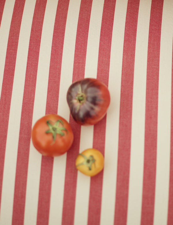 Sudbury Dining Chair Cushion, Fine Red Awning Stripe