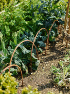 Rusted Garden Border Hoops