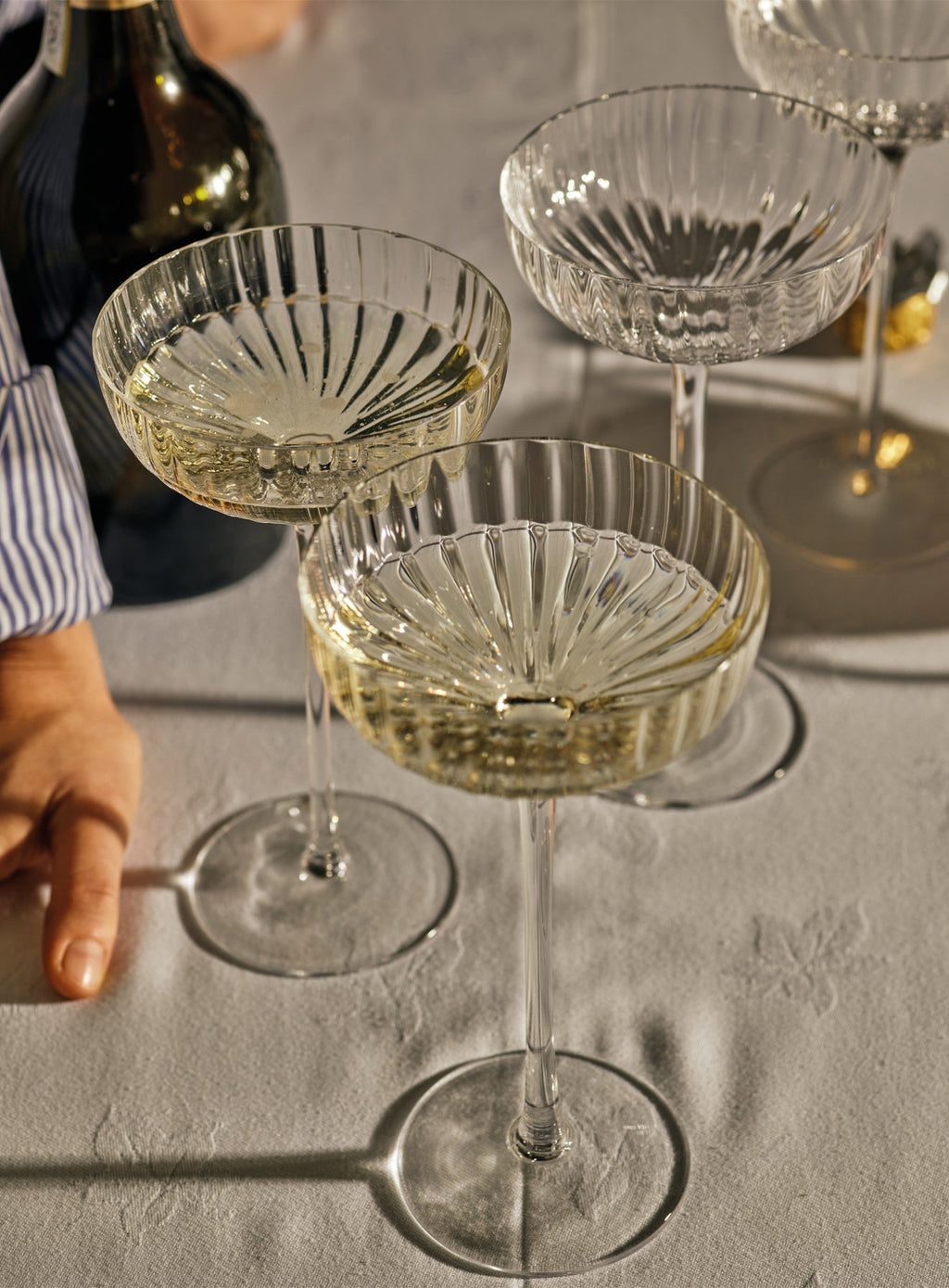 Isla Fluted Champagne Coupe, Set of Two