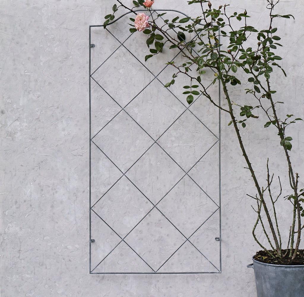 Marlow Trellis