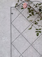 Marlow Trellis