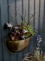 Sola Brass Wall Planter