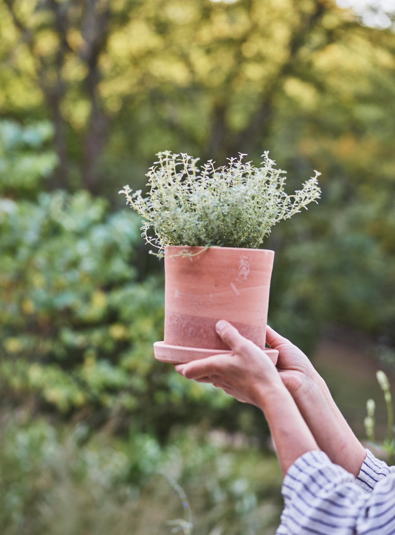 Minos Terracotta Pots, Set of Three