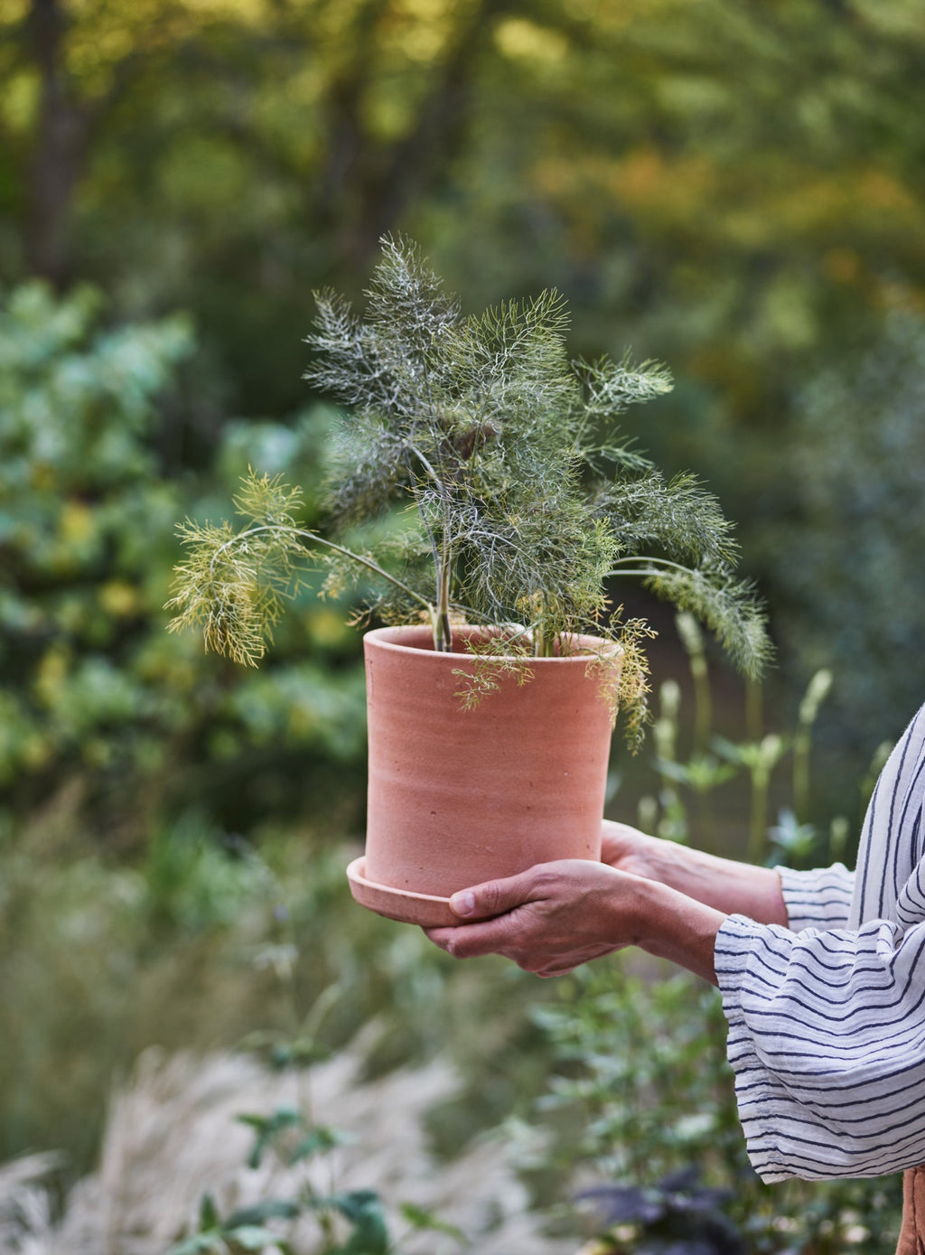 Minos Terracotta Pots, Set of Three