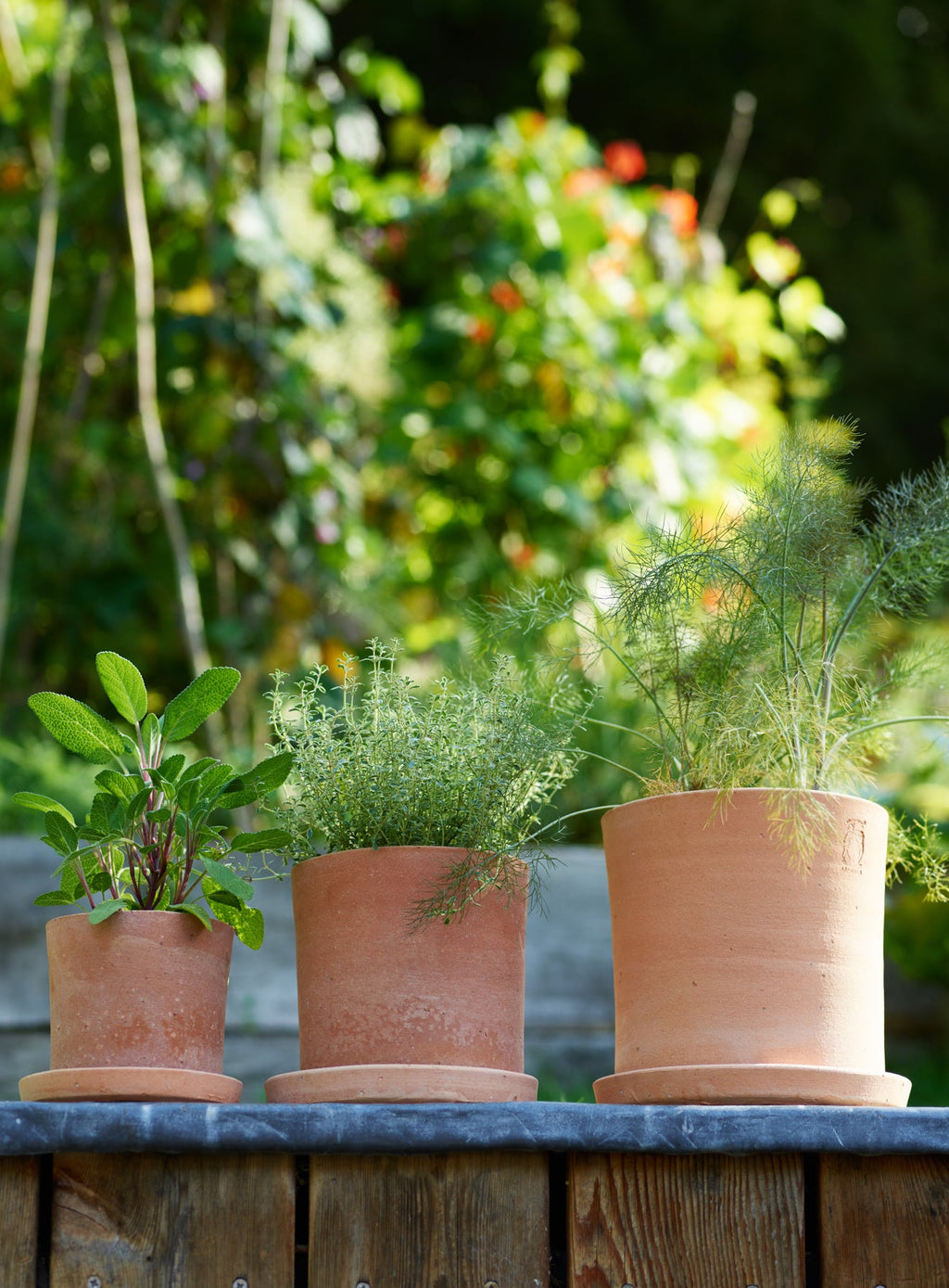 Minos Terracotta Pots, Set of Three