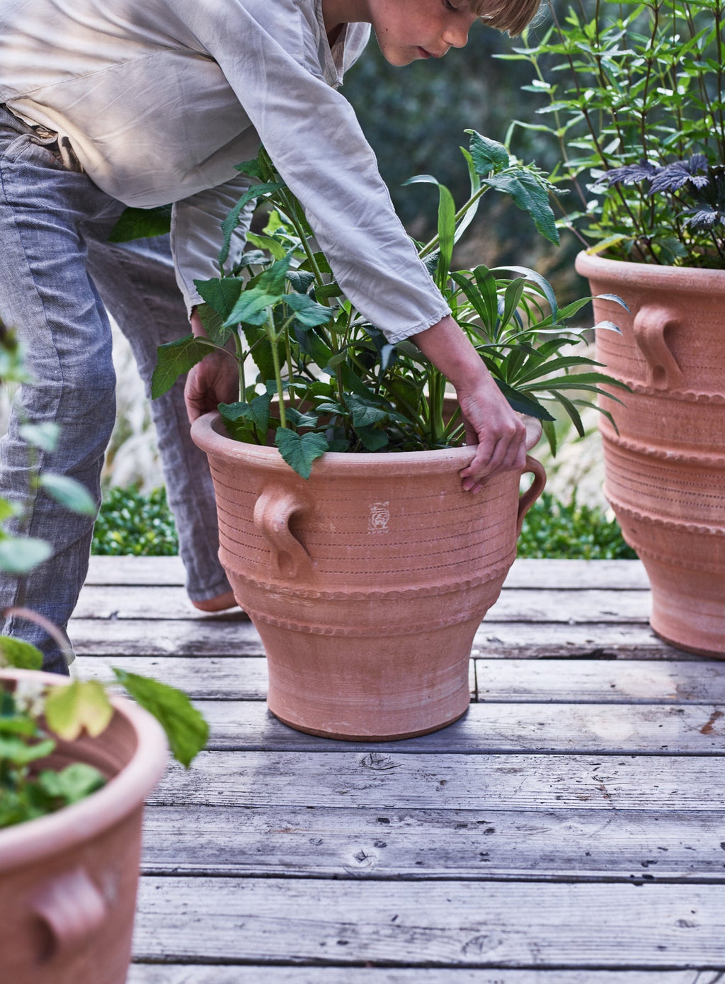 Thrapsano Terracotta Pot, Medium