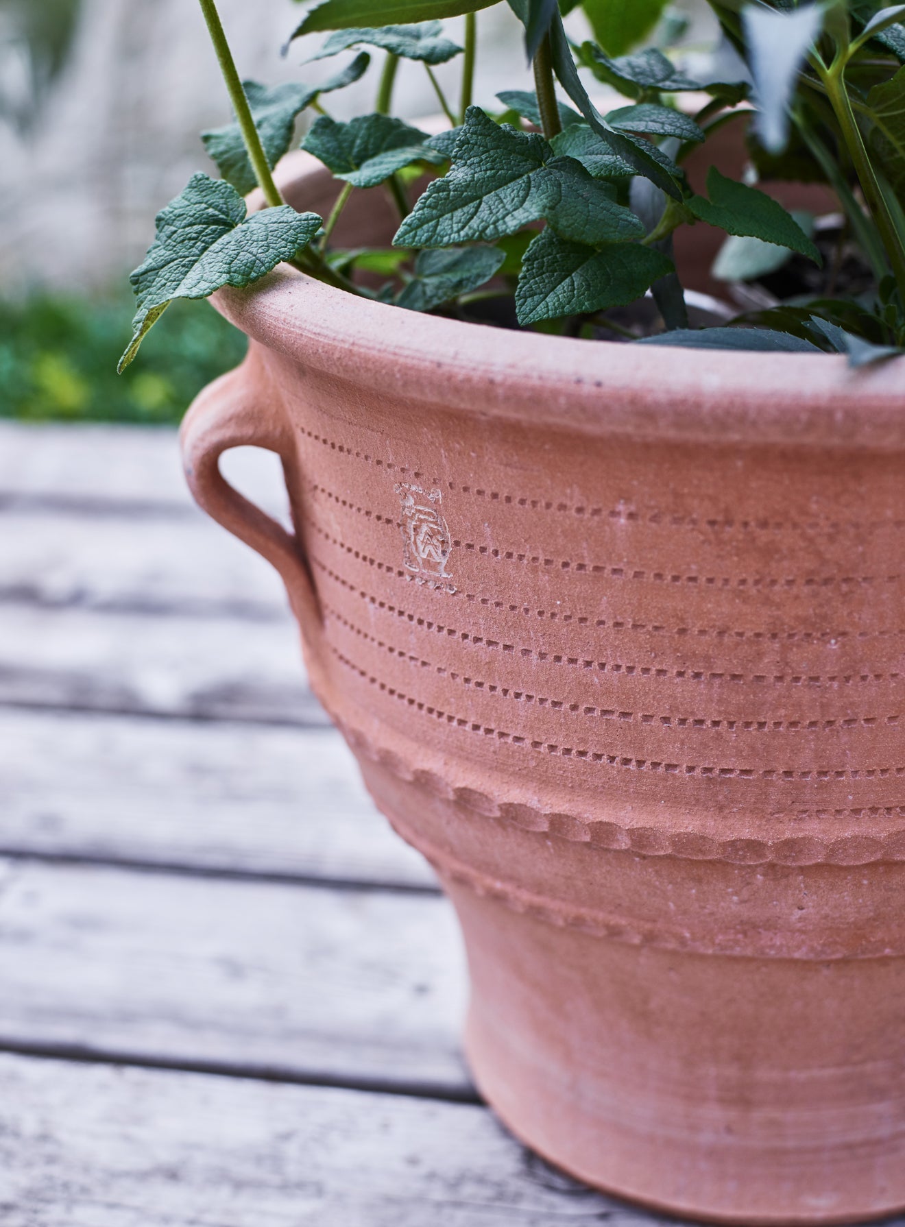 Thrapsano Terracotta Pot, Small