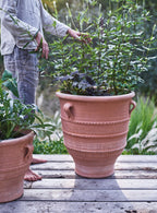 Thrapsano Terracotta Pot, Large